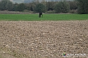 VBS_7536 - Andare lontano, oltre i campi da arare... e ancora più in là